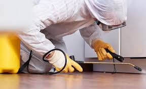 Emergency Pest Control in Prescott Valley, AZ